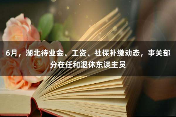 6月，湖北待业金、工资、社保补缴动态，事关部分在任和退休东谈主员