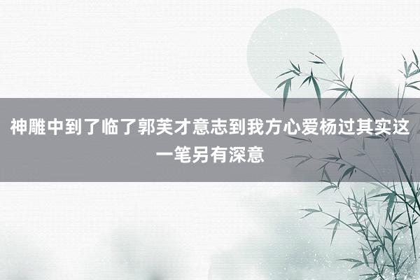 神雕中到了临了郭芙才意志到我方心爱杨过其实这一笔另有深意