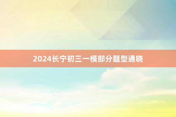 2024长宁初三一模部分题型通晓