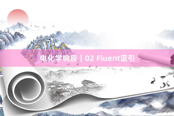 电化学响应｜02 Fluent汲引