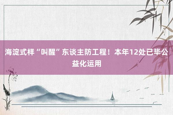 海淀式样“叫醒”东谈主防工程！本年12处已毕公益化运用