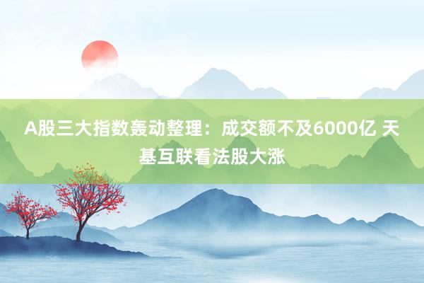 A股三大指数轰动整理：成交额不及6000亿 天基互联看法股大涨