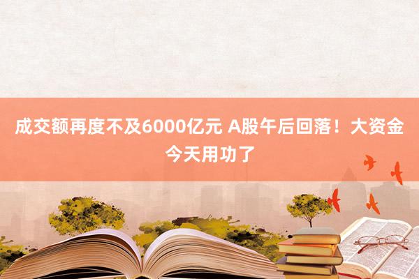 成交额再度不及6000亿元 A股午后回落！大资金今天用功了