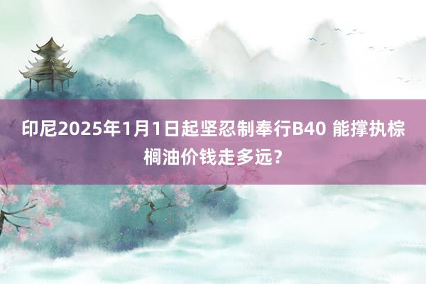 印尼2025年1月1日起坚忍制奉行B40 能撑执棕榈油价钱走多远？