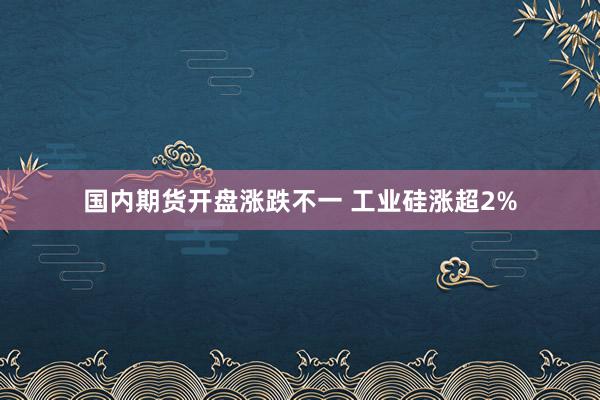 国内期货开盘涨跌不一 工业硅涨超2%