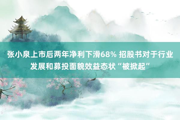 张小泉上市后两年净利下滑68% 招股书对于行业发展和募投面貌效益态状“被掀起”